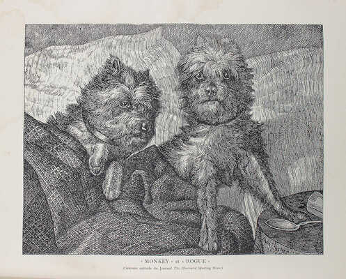 [Байланд Анри де. Породы собак. Их происхождение, оценки, описания, типы, качества, особенности и недостатки. В 2 ч.], 1897